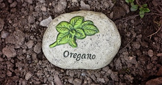 10 Foods With Oregano