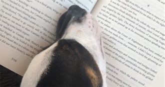 Allie&#39;s 2024 in Books