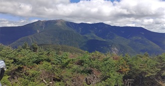 Five Movies Per Actor