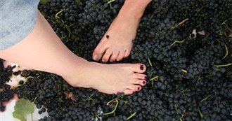 56 Obscure Books and Novels