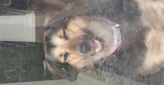 Books Thomas Staples Read in 2024