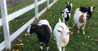 Wild Bill&#39;s Labor Day Trip