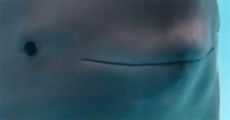 Ivan&#39;s Most Greatest Musicians