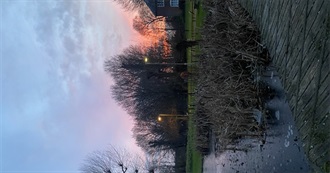 Books Luce Never Sees on List Challenges