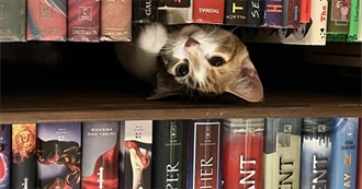 A-Bookshelves of a Bookworm