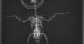 Artists That Geckonorth Has Listened To