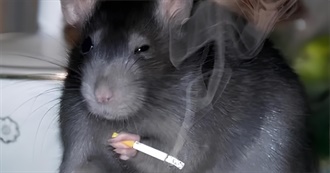 Mischief&#39;s Top 70 TV Series