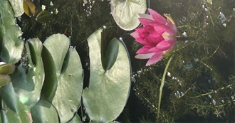 100 Fav Movies &lt;3