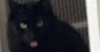 Augustus&#39; Top 100