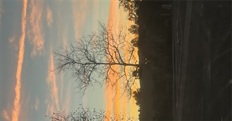 Official Hear Me Out List 🤪