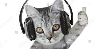 Austin&#39;s Top 100 Music Artists