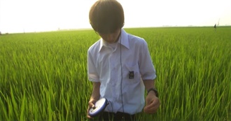 Underseen Films You&#39;ve Probably Never Seen