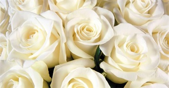 Everything Emi Read in 2023