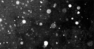 100 Contemporary Poetry Collections