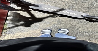 Magpie&#39;s List of Movies