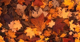 Litsy: Autumn Fun: Books OR Movies