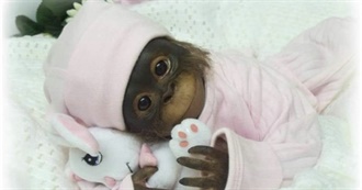 Dessy&#39;s Fave Movies :)