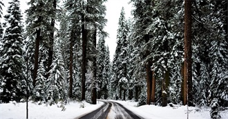 Movies to Watch In: Winter