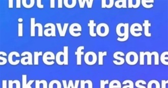 Zorua&#39;s Favorite Movies