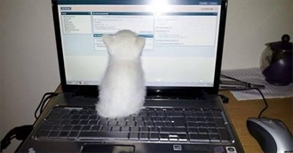 Super Cool Movies B)