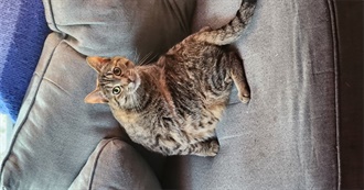 Miles&#39; Top 50 Books