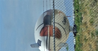 Books Checked Out Since 01/2020