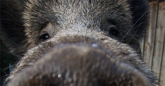 Baron&#39;s Top Movies!!