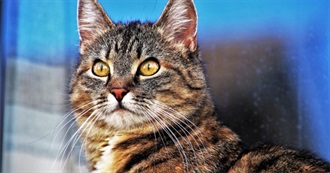 100 of the Best Films of 2025, Starting W/ Sorry, Baby