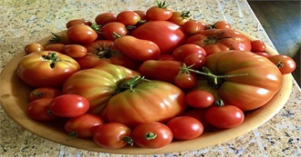 Foods Abbi Ate  in a Week