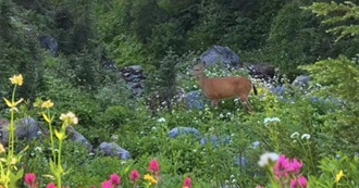 Star&#39;s Bucket List