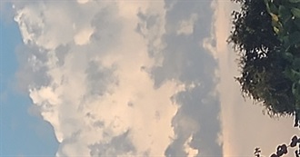 Avri&#39;s Favorite Actors and Actresses