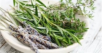 15 Popular Herbes De Provence Ingredients