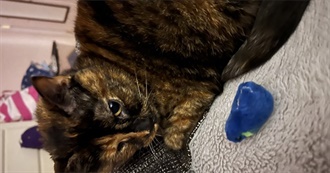 Becca&#39;s 2022 Books!