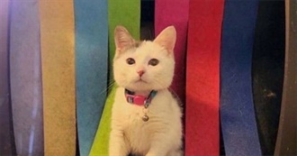 100 More Movies Alicia Has Seen