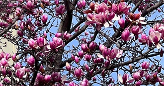 Eleftheria&#39;s Book List