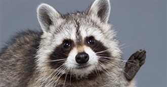 (List25)  25 Most Hated Mammals on Earth