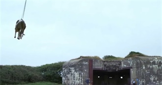 Films Seen in April 2020