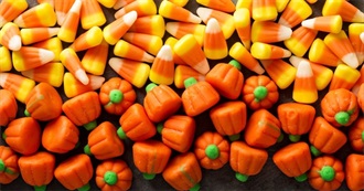 A Large List of Food That Dodger Dislikes!