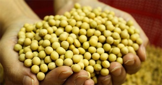 Vegan Choline Sources