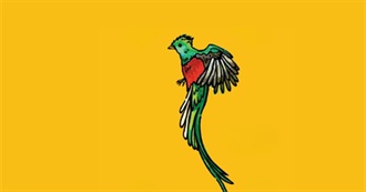 The Most Underrated Books of 2025