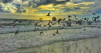 Books Shelved as &quot;Christian&quot; 80 Times or More on Goodreads