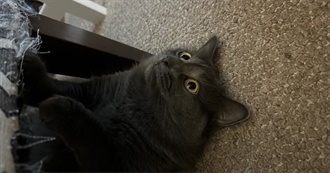 Nae&#39;s Top Movies