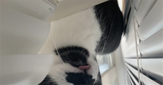 100 Cool Books From Ur Good Friend Em