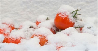 Food in Literature: Spinning Silver