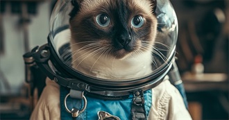 Books I've Read That You May Not Have Heard of **24