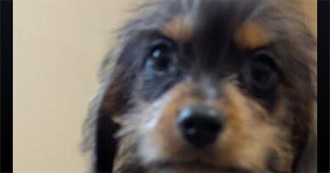 Lucy&#39;s Favourites