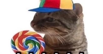 Freckledghosts Top 100 Movies :3