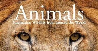 Animals in the Book Alice Was Given