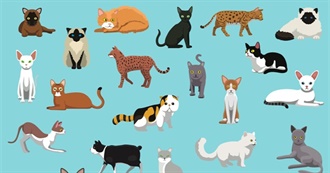 Cat (Felis Catus) Breeds