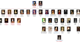 Famous Descendants: Henry VII of England